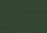 RAL 6020