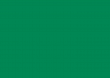 RAL 6024