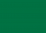 RAL 6029