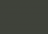 RAL 6006