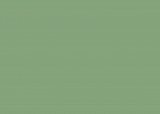 RAL 6021