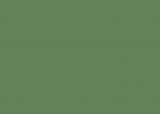 RAL 6011