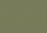 RAL 6013