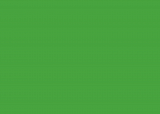 RAL 6018